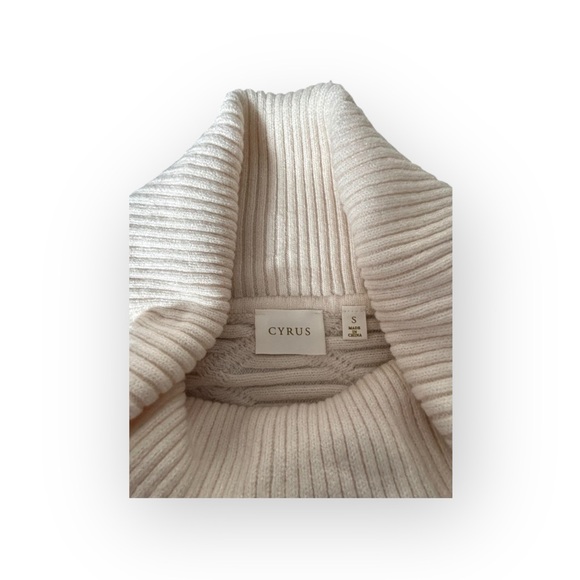 Cyrus Textured Turtleneck Sweater Cream | Size S | NWT - Picture 5 of 6